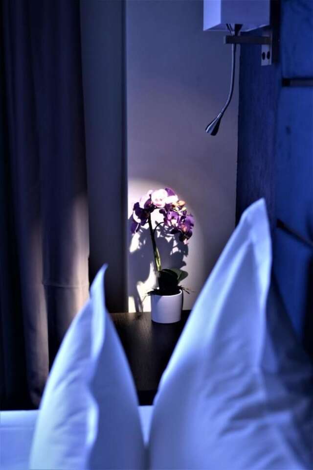 Отель Old Town Hotel Тимишоара-22